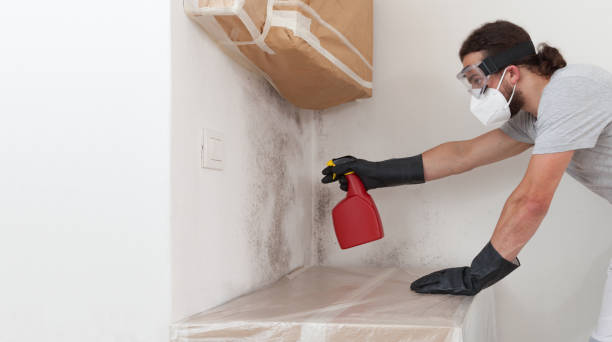 Professional Mold Inspection And Testing technician working in Petersburg, MI