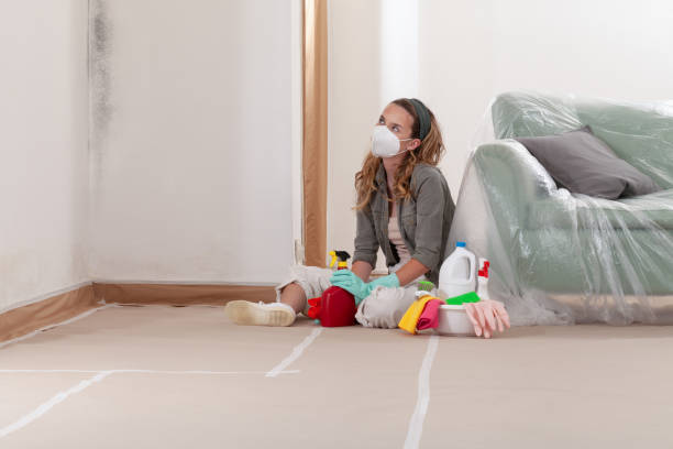 Reliable Mold Inspection And Testing contractor in Petersburg, MI by Car Mold Remediation